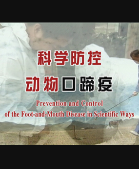 ƌW(xu)؄
