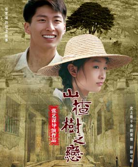 山楂樹之戀